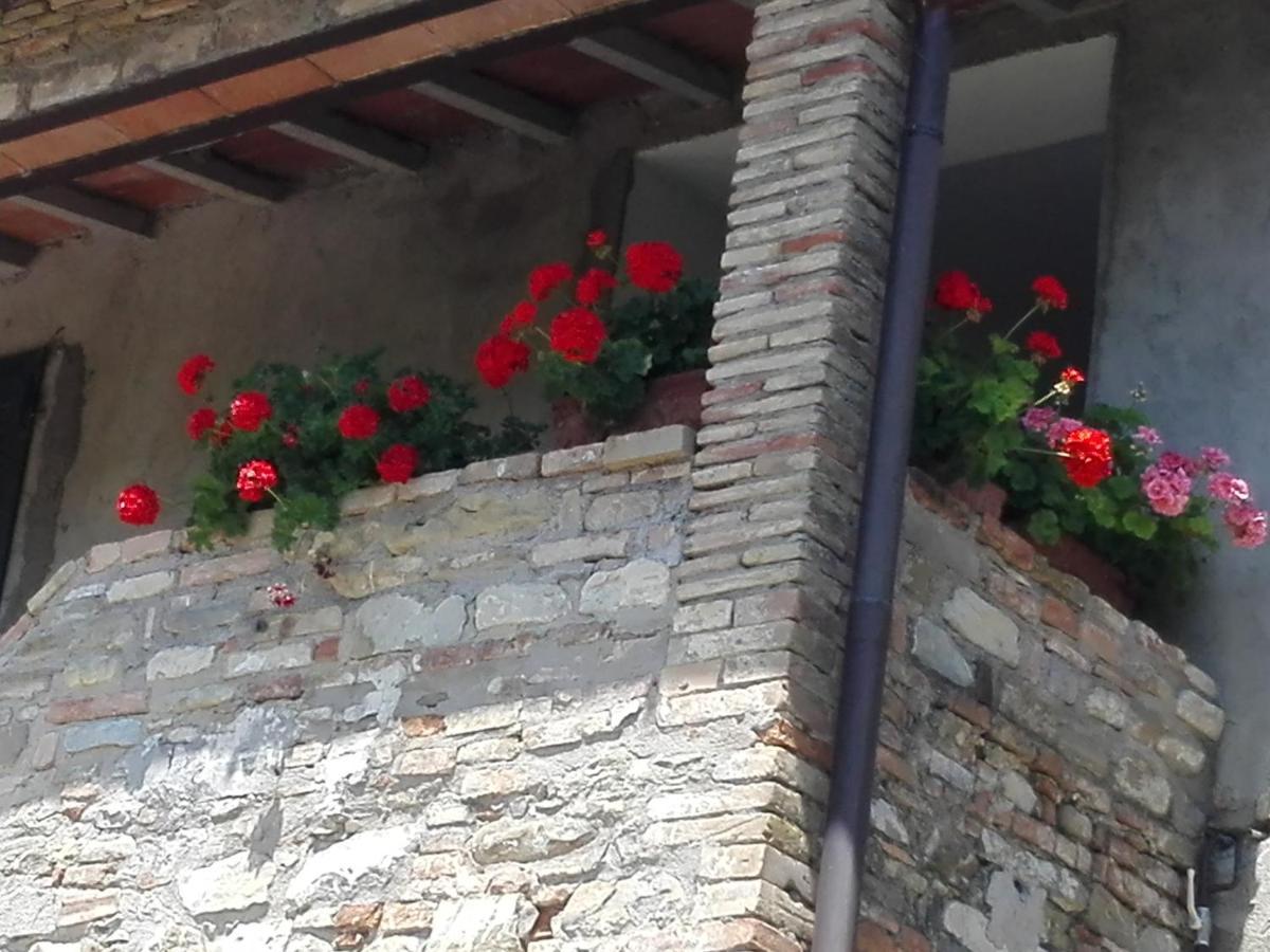 Fattoria Di Rigone Coltavolino Exterior foto