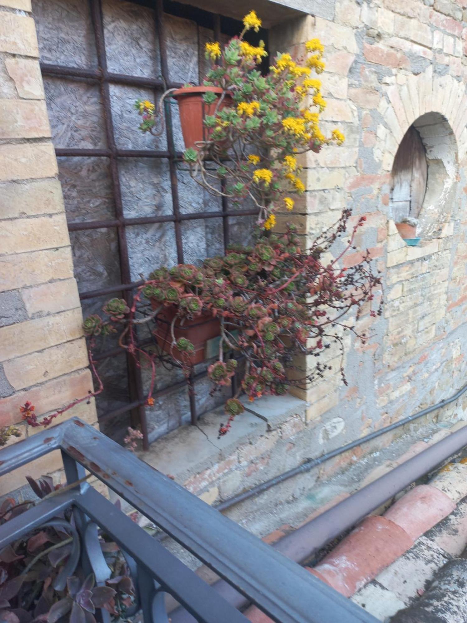 Fattoria Di Rigone Coltavolino Exterior foto
