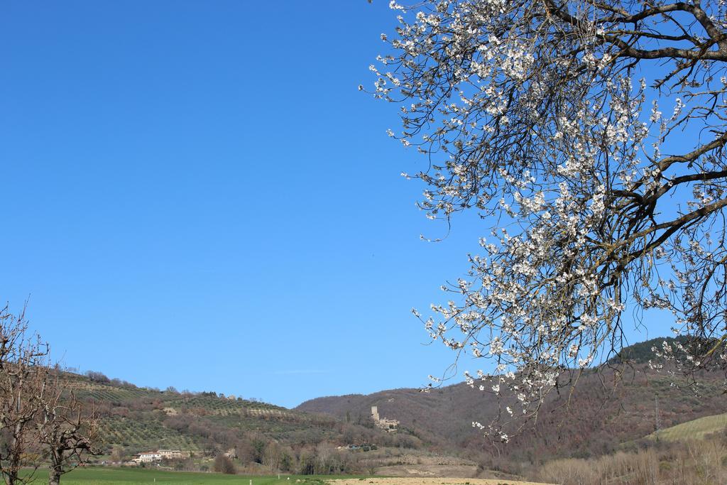 Fattoria Di Rigone Coltavolino Exterior foto