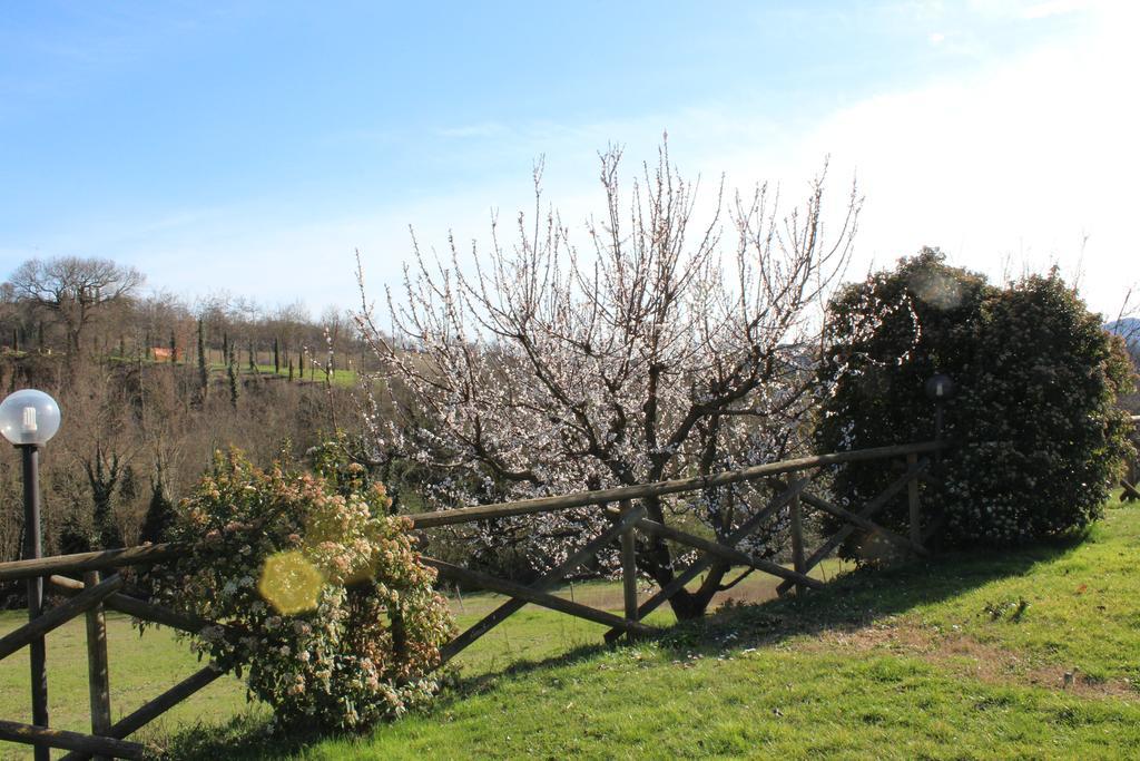 Fattoria Di Rigone Coltavolino Exterior foto