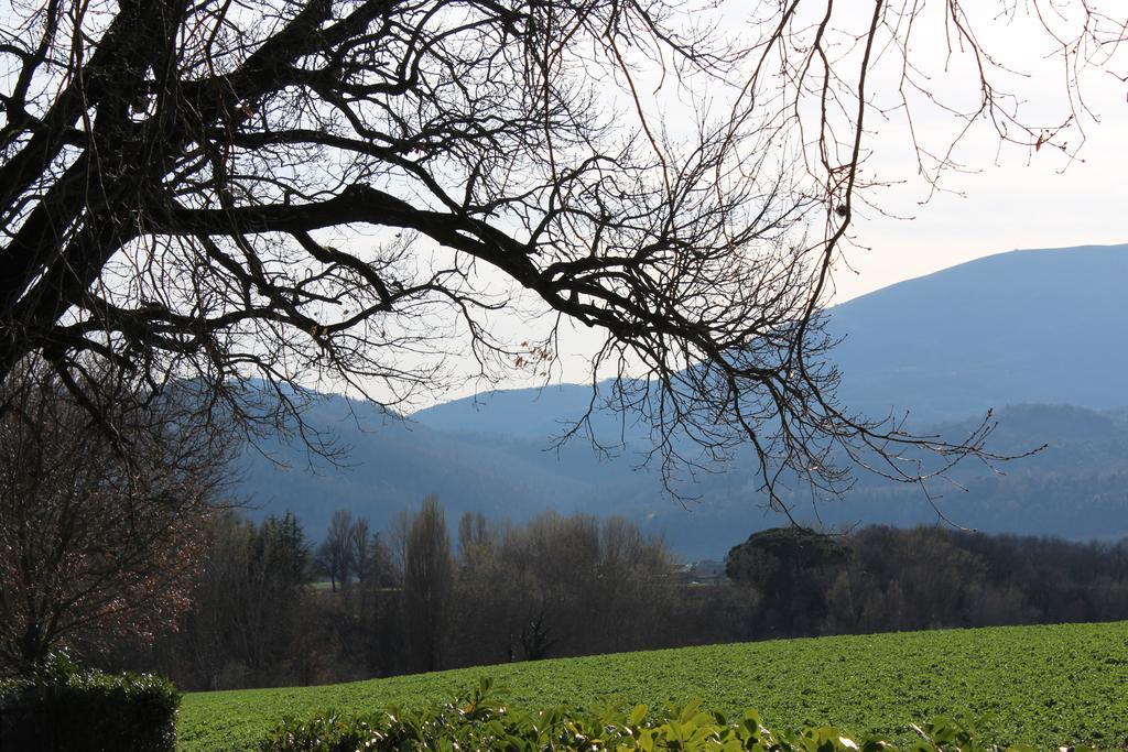 Fattoria Di Rigone Coltavolino Exterior foto