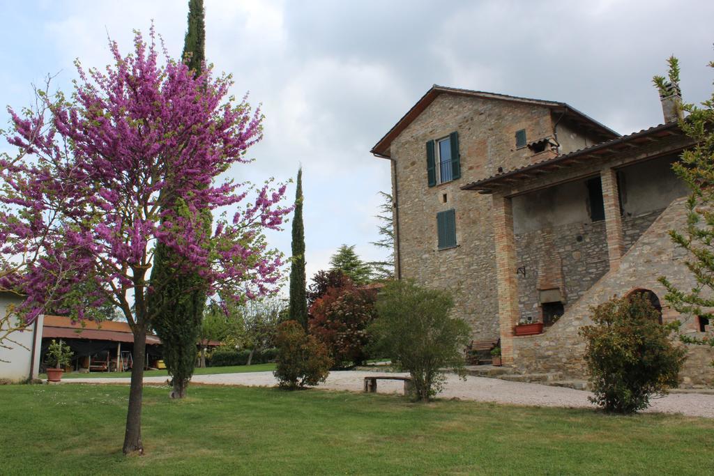 Fattoria Di Rigone Coltavolino Exterior foto