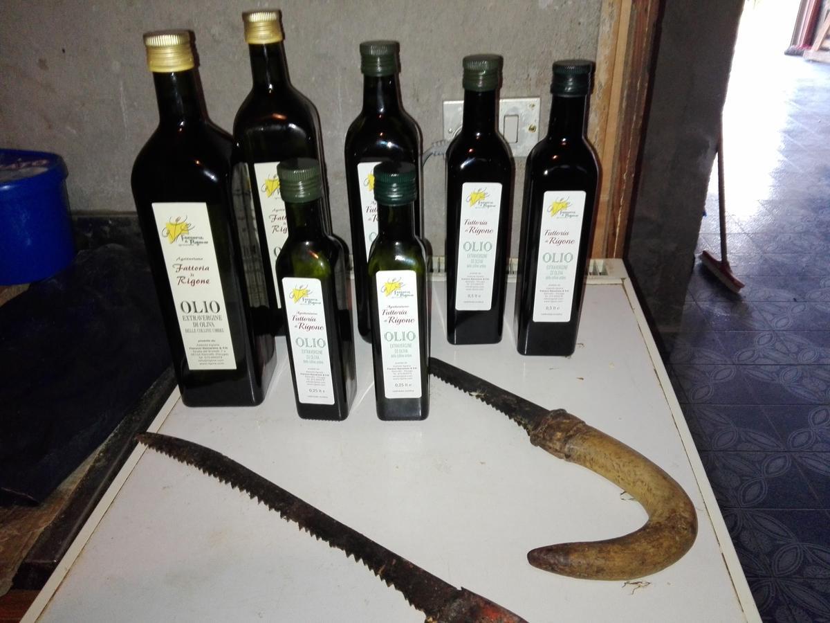 Fattoria Di Rigone Coltavolino Exterior foto
